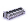 CPV15
